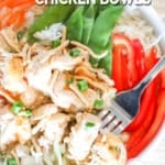 asian chicken rice bowl from above.