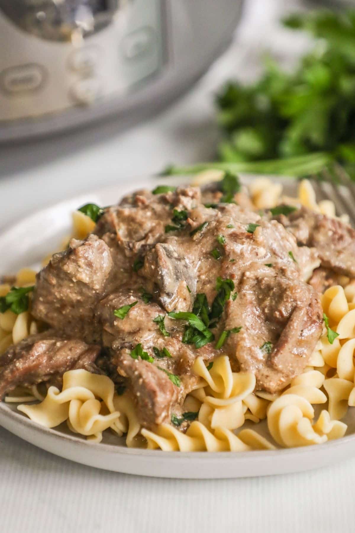 beef stoganoff over egg noodles on a plate
