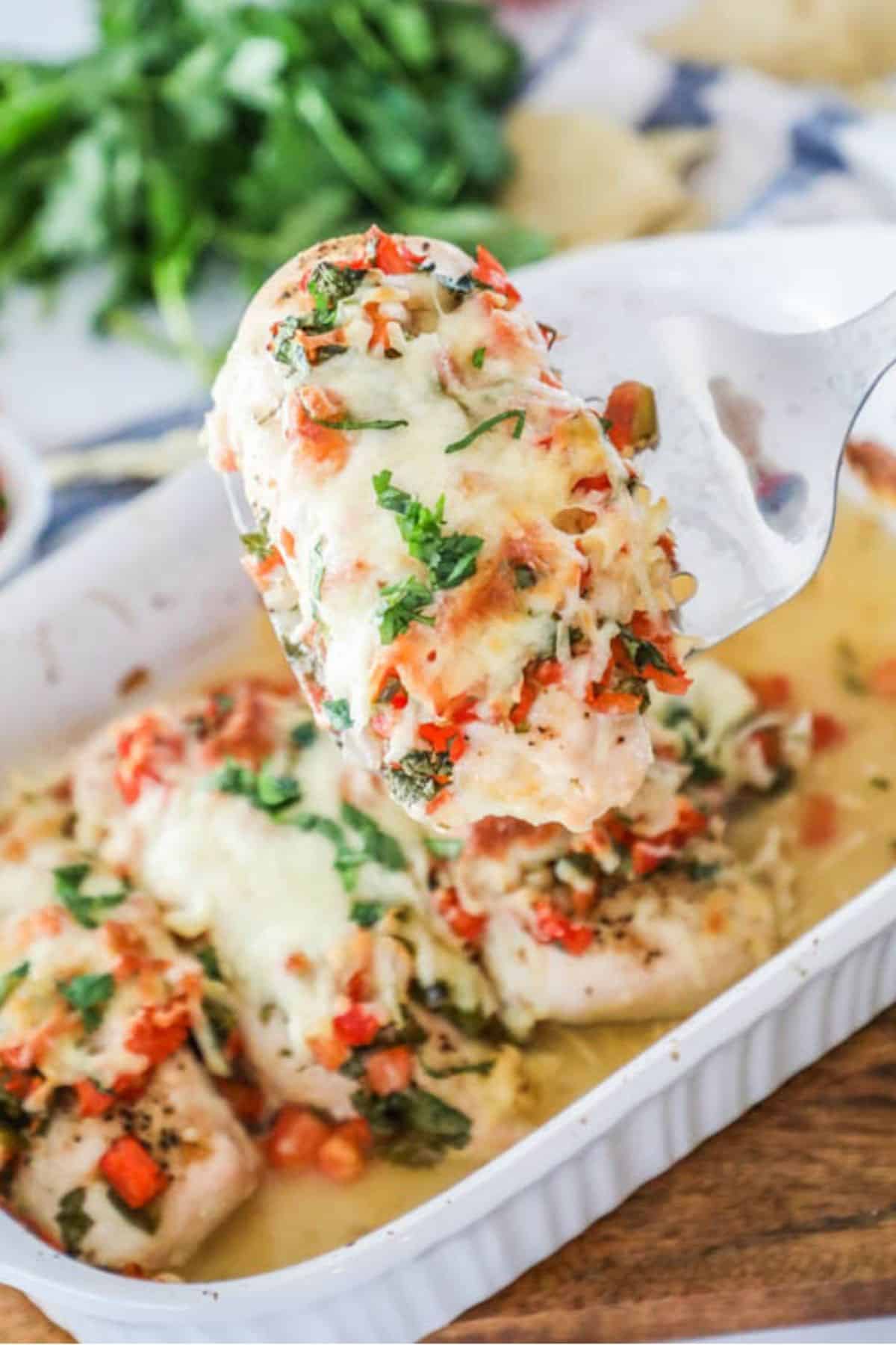 Salsa Fresca Chicken