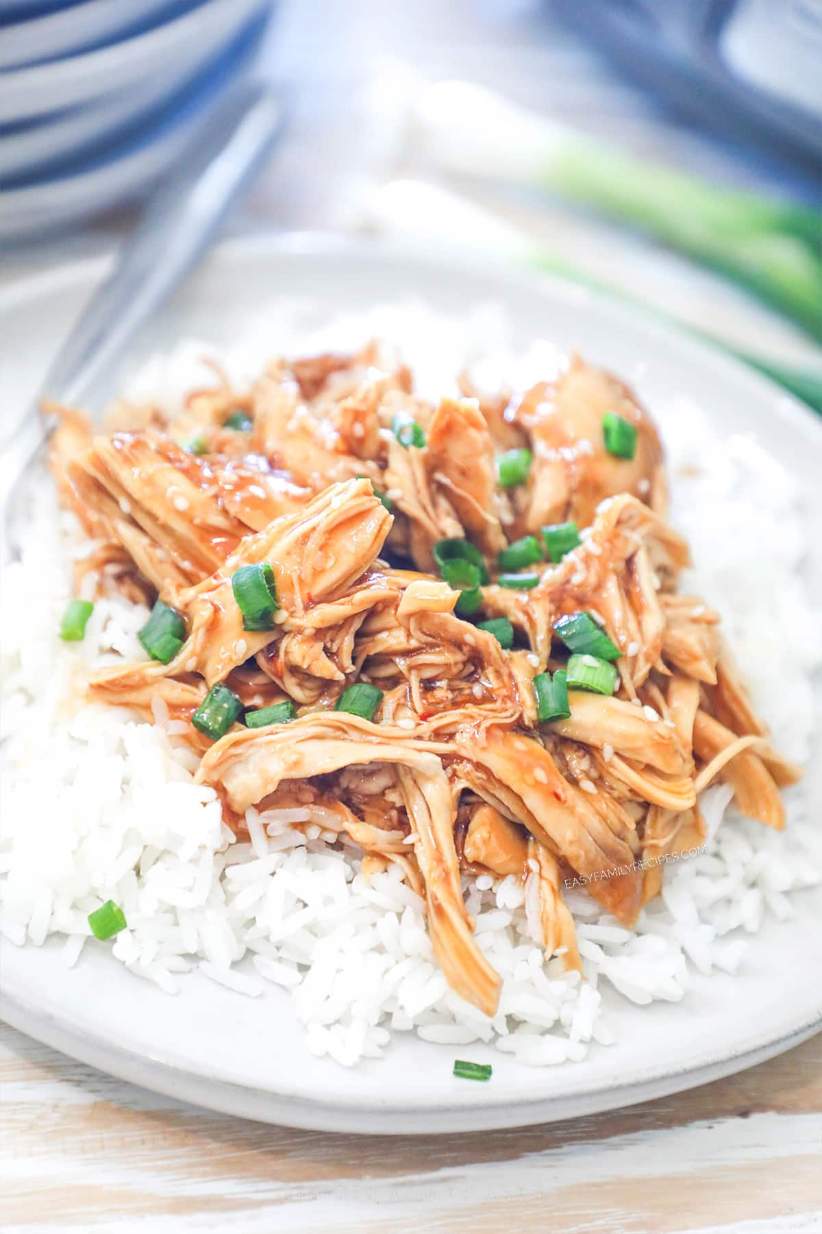 A serving of bourbon chicken over rice with scallions over the top.