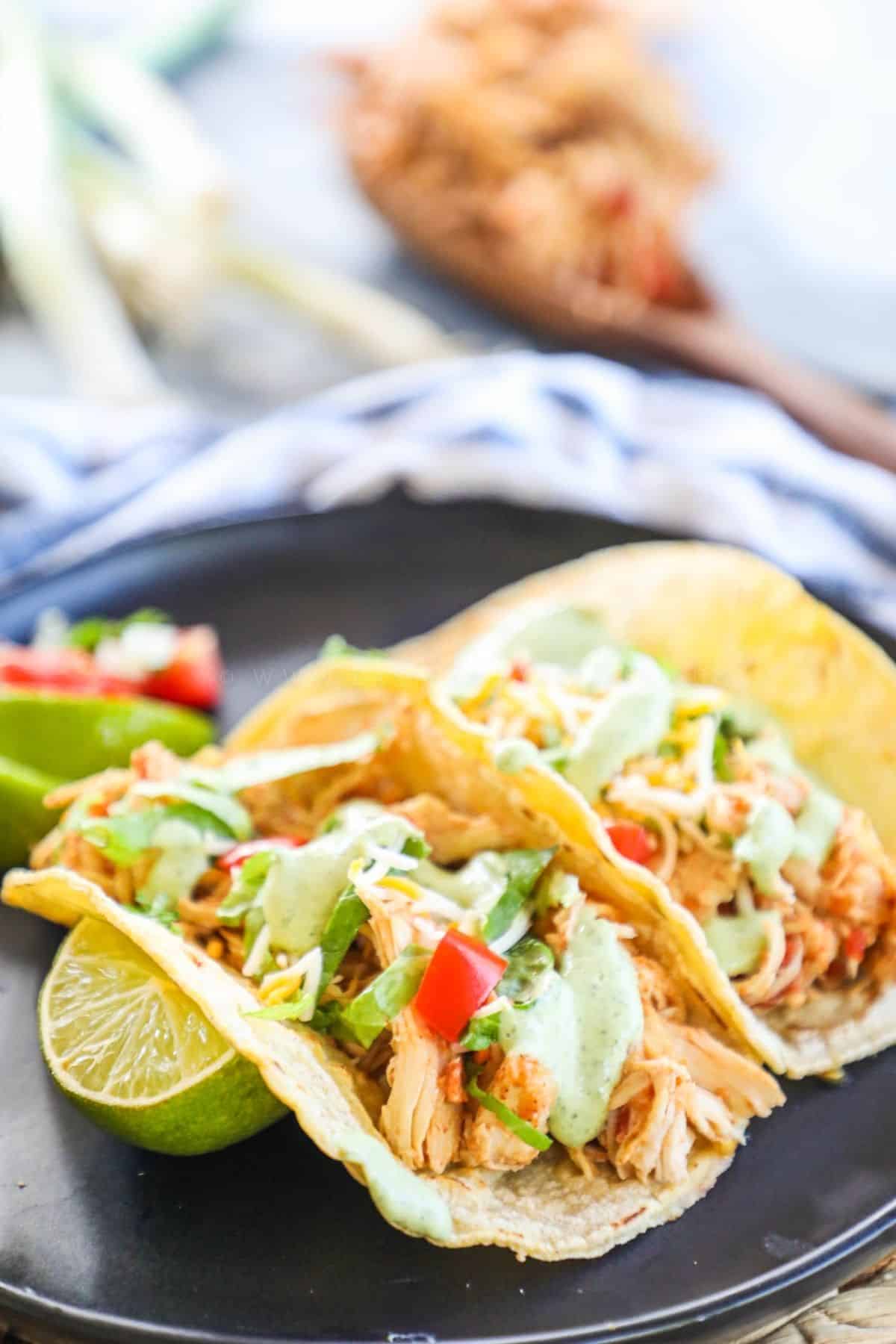 2 shredded chicken tacos on a black plate