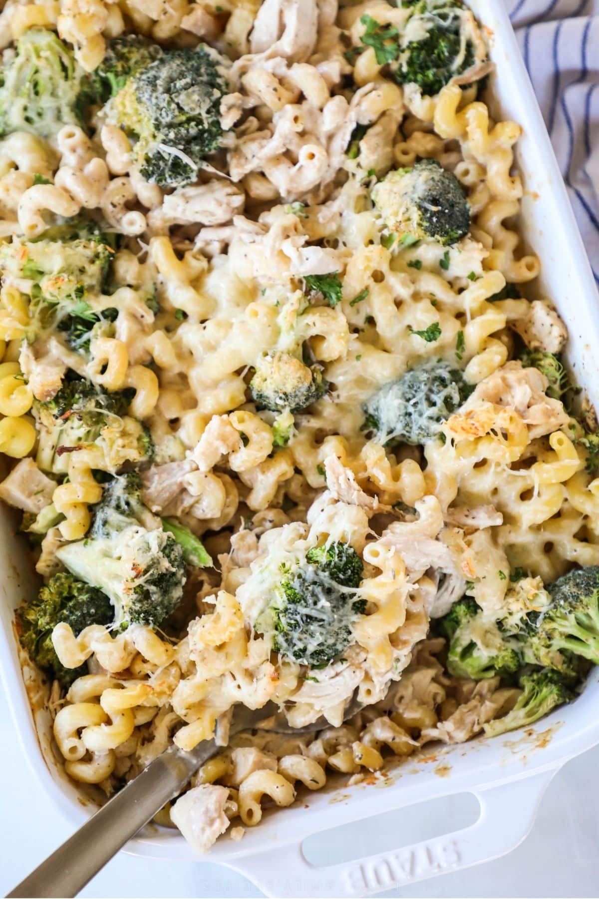 chicken broccoli alfredo bake in a white casserole dish