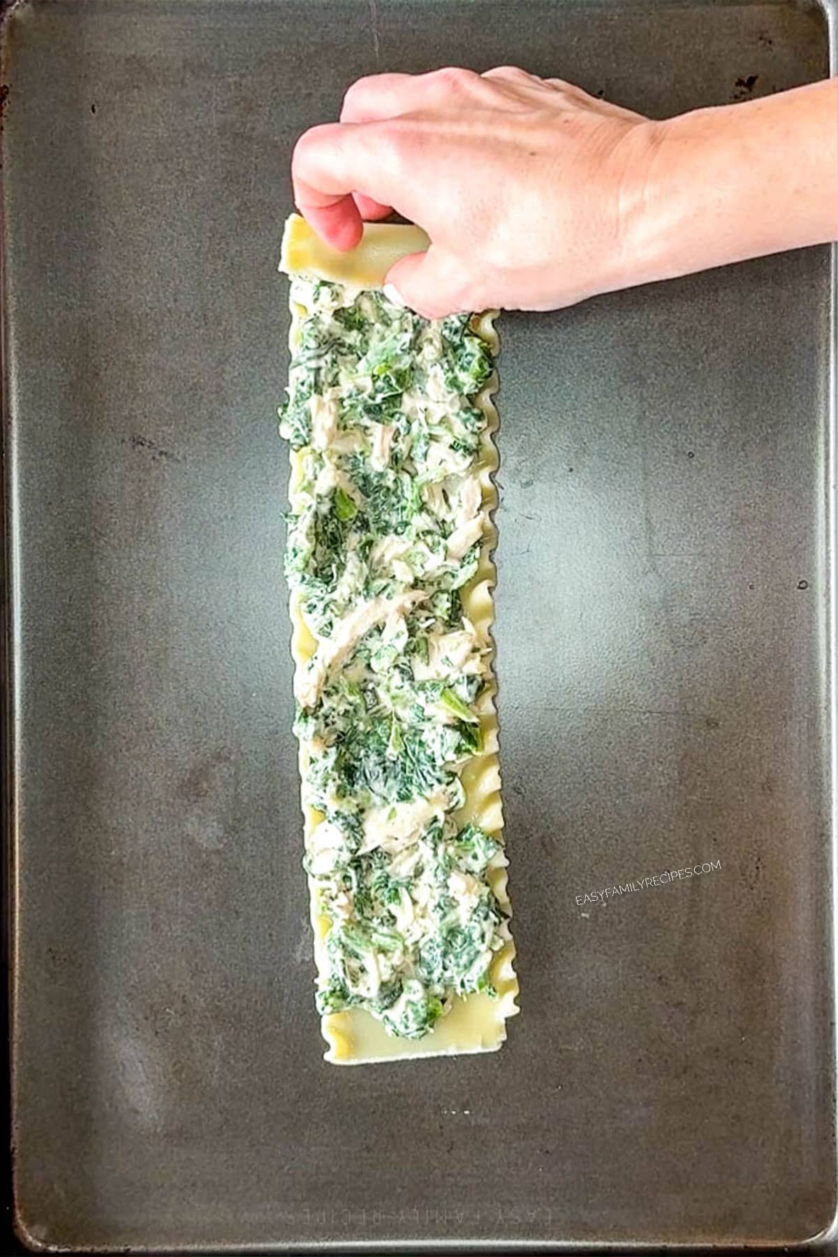 Hand rolling up a lasagna noodle with the spinach chicken filling inside.