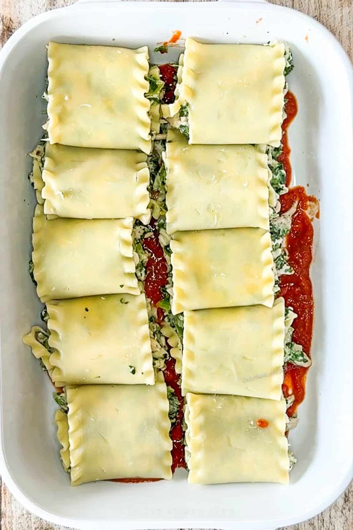 Spinach chicken lasagna roll ups in a white baking dish after being assembled.