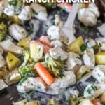 above image of roasted veggies and chicken on a pan.