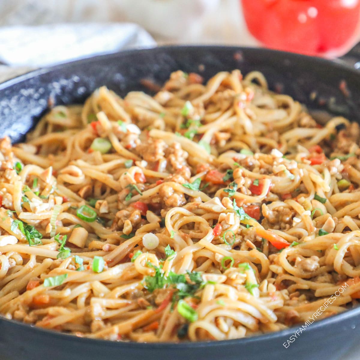 Garlic Pork Peanut Noodles