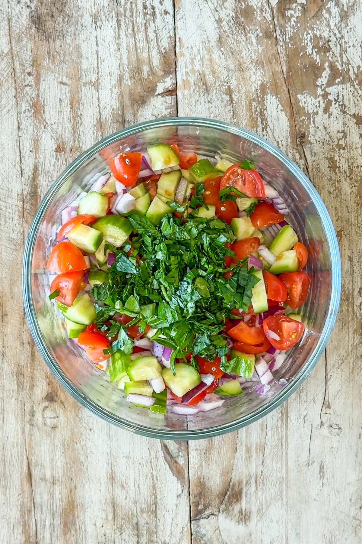 bowl with cucumber tomato salsa ingredients
