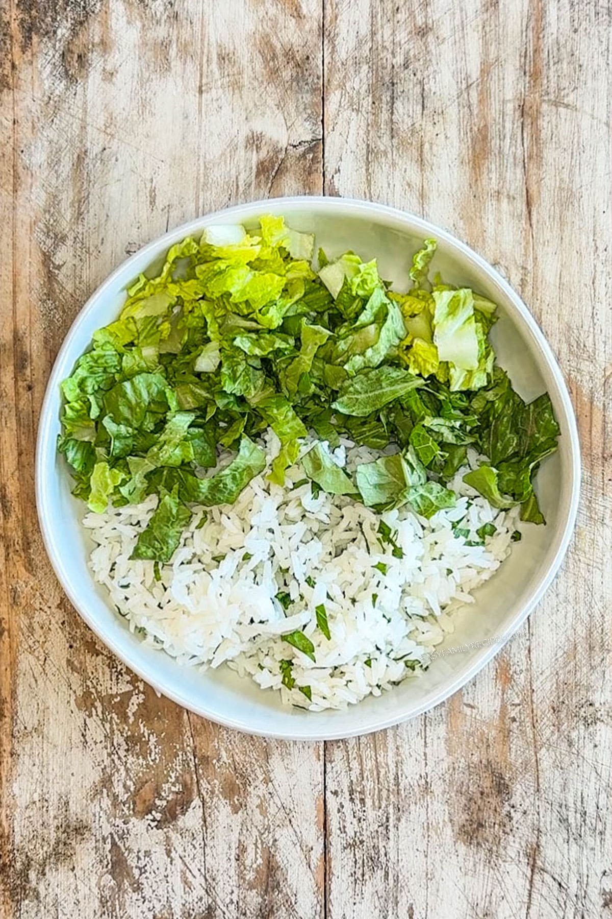 Base of the chicken gyro bowl- rice and romaine- in a white bowl