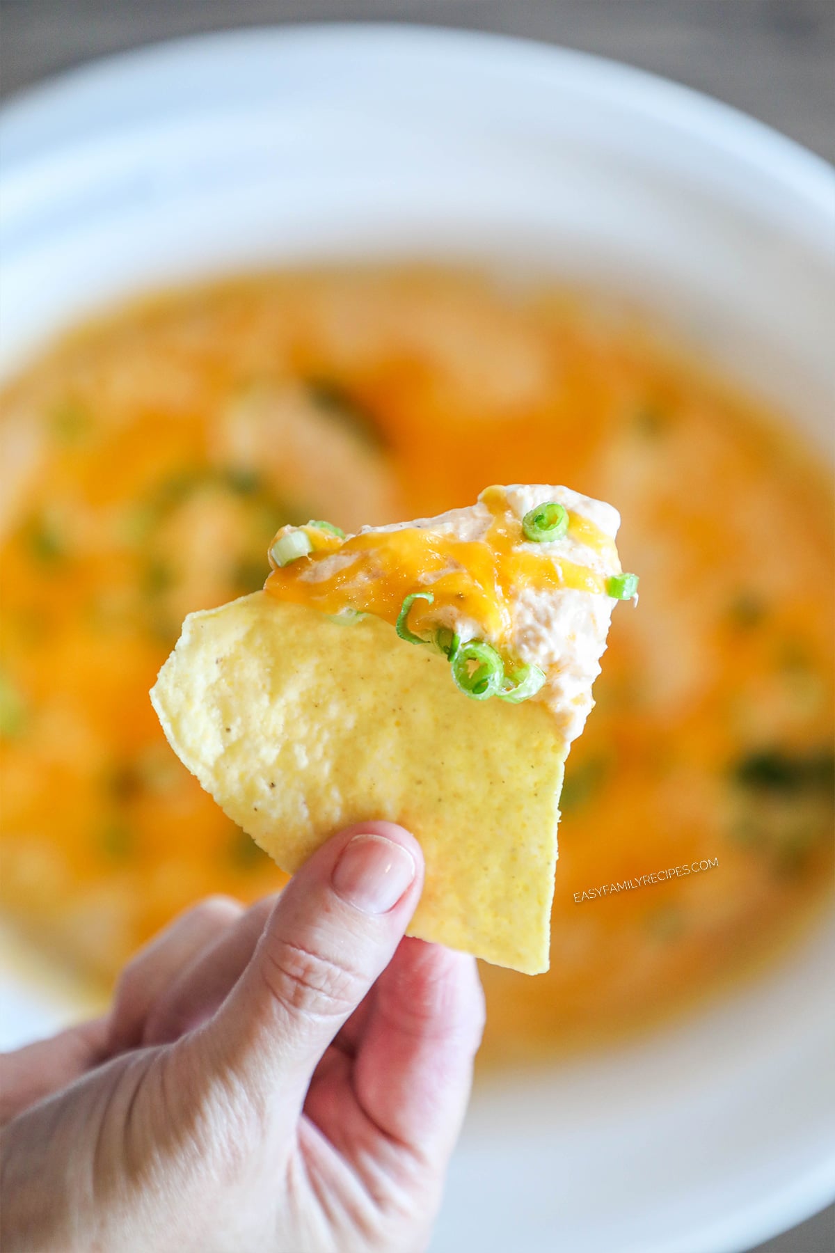a tortilla chip with buffalo chicken dip, held.
