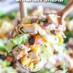salad tongs lifted a helping of fiesta chicken salad out.