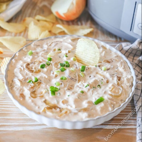above image of a large, shallow bowl filled with easy french onion dip.