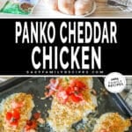 Two photos of panko cheddar chicken, one of the chicken on a sheet pan and another of the ingredients needed.