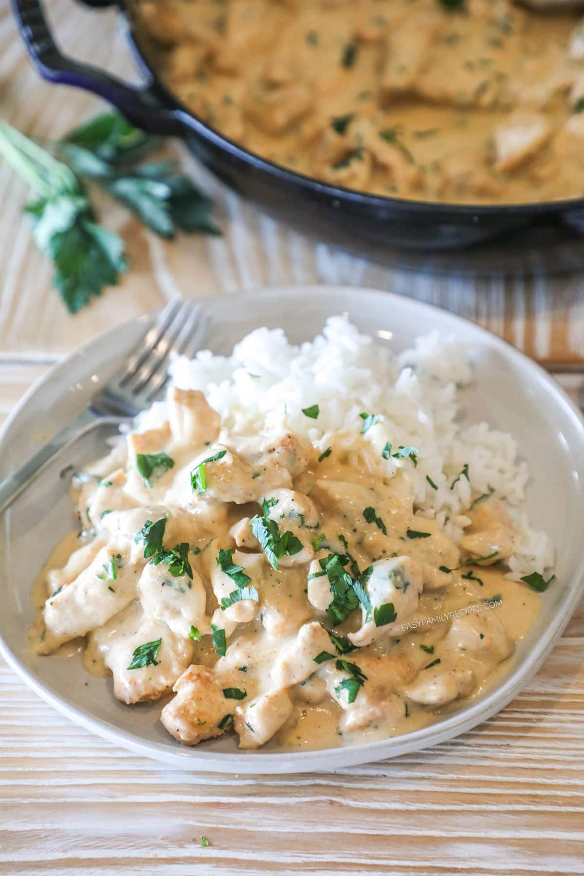 Individual serving of smothered chicken with rice, on a white dish. On a wooden background with fresh herbs.