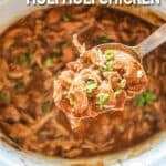 Overhead shot of huli huli chicken with a spoon holding some.