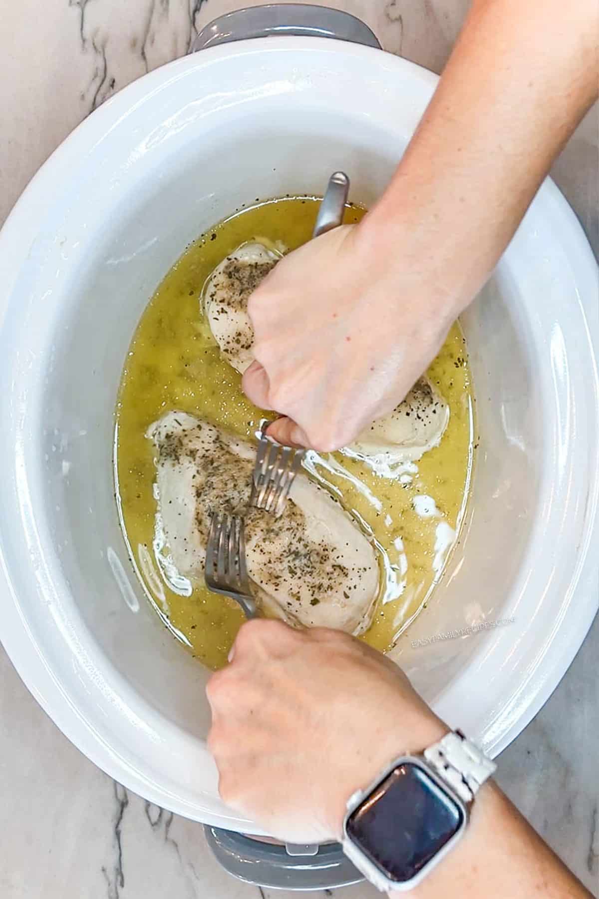 Step 3 for making Crockpot Million Dollar Chicken- cook chicken then shred. In a white crock pot
