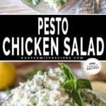Two photos for Pesto Chicken Salad. Top image is a baguette stuffed with a spoonful of pesto chicken salad. On a plate with a side salad. Bottom image is of a glass bowl filled with pesto chicken salad and fresh basil leaves on top