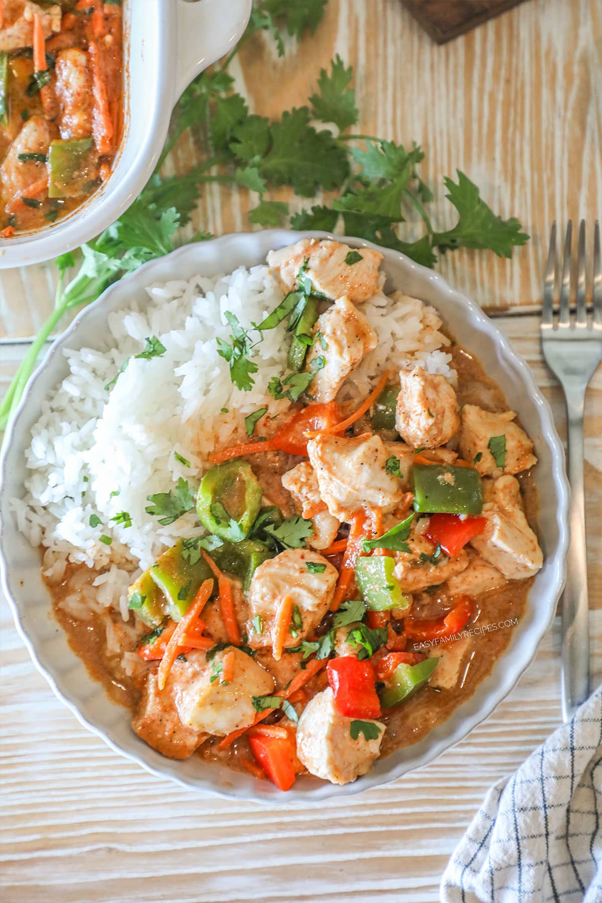 Overhead shot of baked chicken curry with rice on the side.