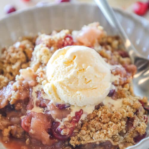 Close up of a scoop of ice cream on some apple cranberry crumble in a bowl.
