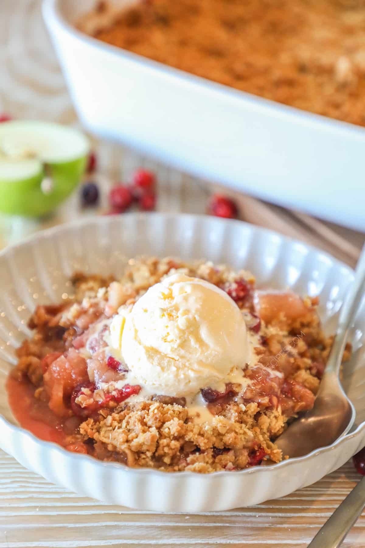 Bowl of apple cranberry crumble with ice cream on top.
