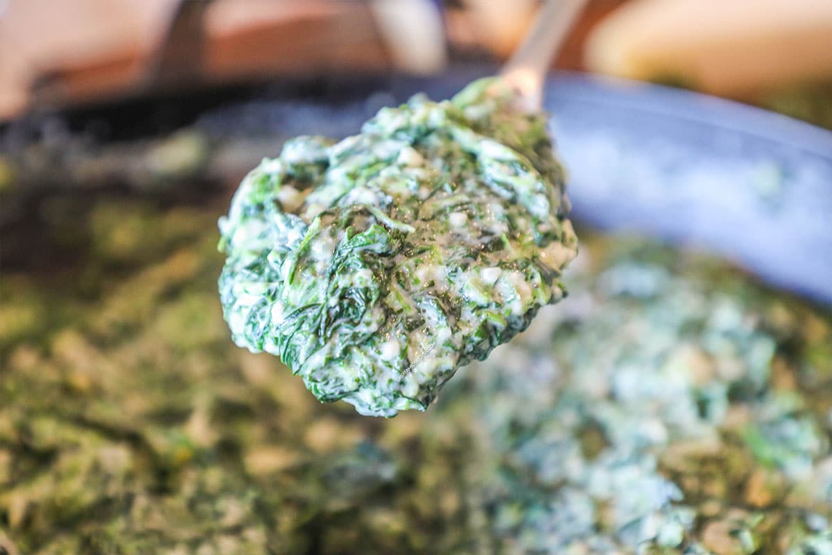 Spoonful of creamed spinach held over skillet.